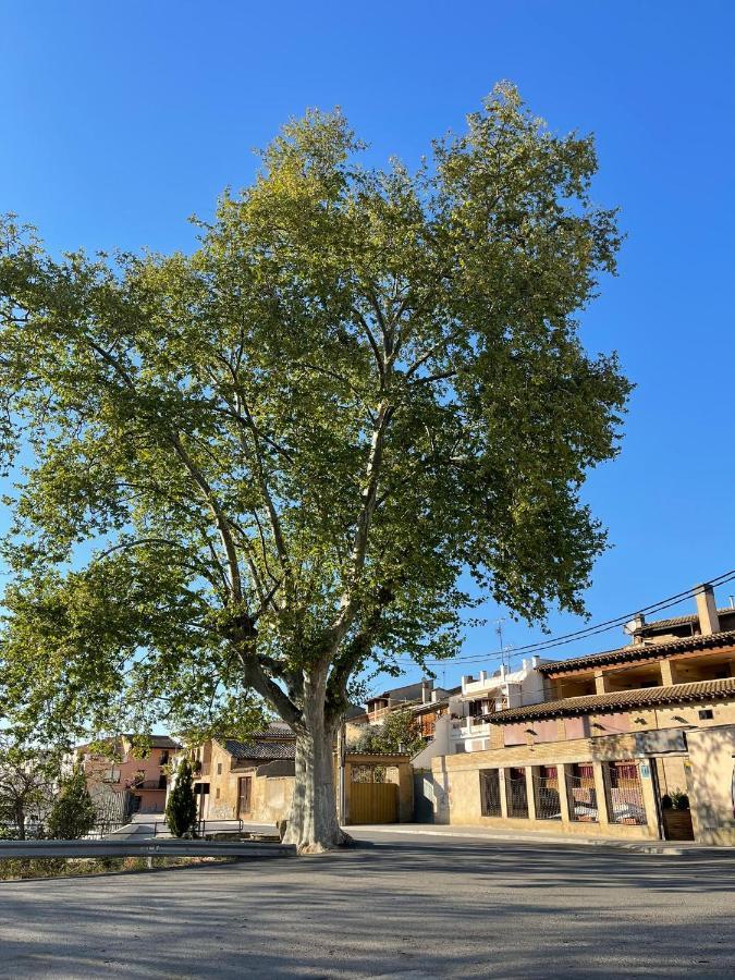 El Rincon De Tono Pomar (Aragon) Exterior foto